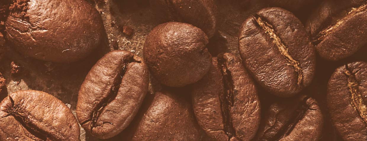 roasted coffee
beans brown grunge background