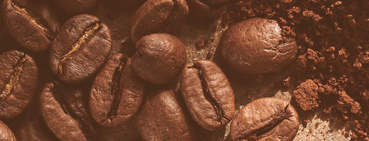 roasted coffee
beans brown grunge background